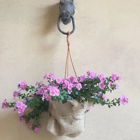 Sabini Palace Bed and breakfast *