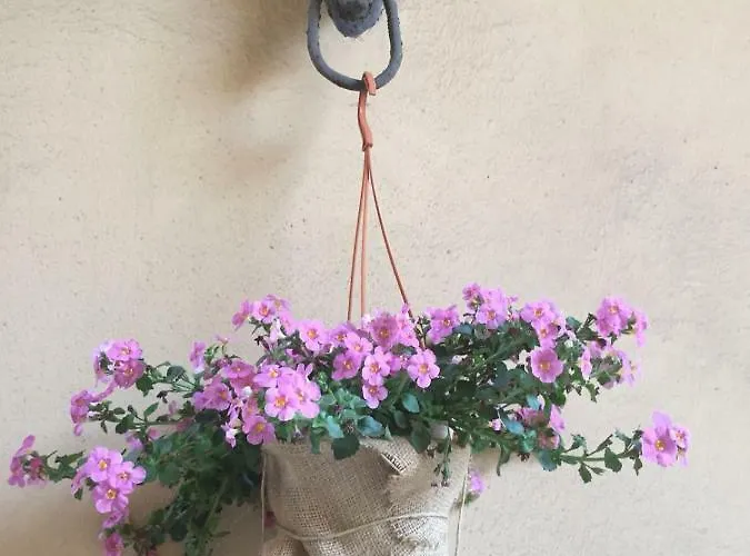 Sabini Palace Bed & Breakfast *